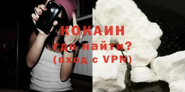 гидра Надым