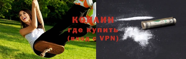 гидра Надым