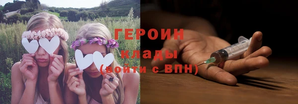 гидра Надым
