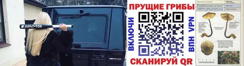 Галлюциногенные грибы мухоморы  блэк спрут ТОР  Дубовка  купить закладку 